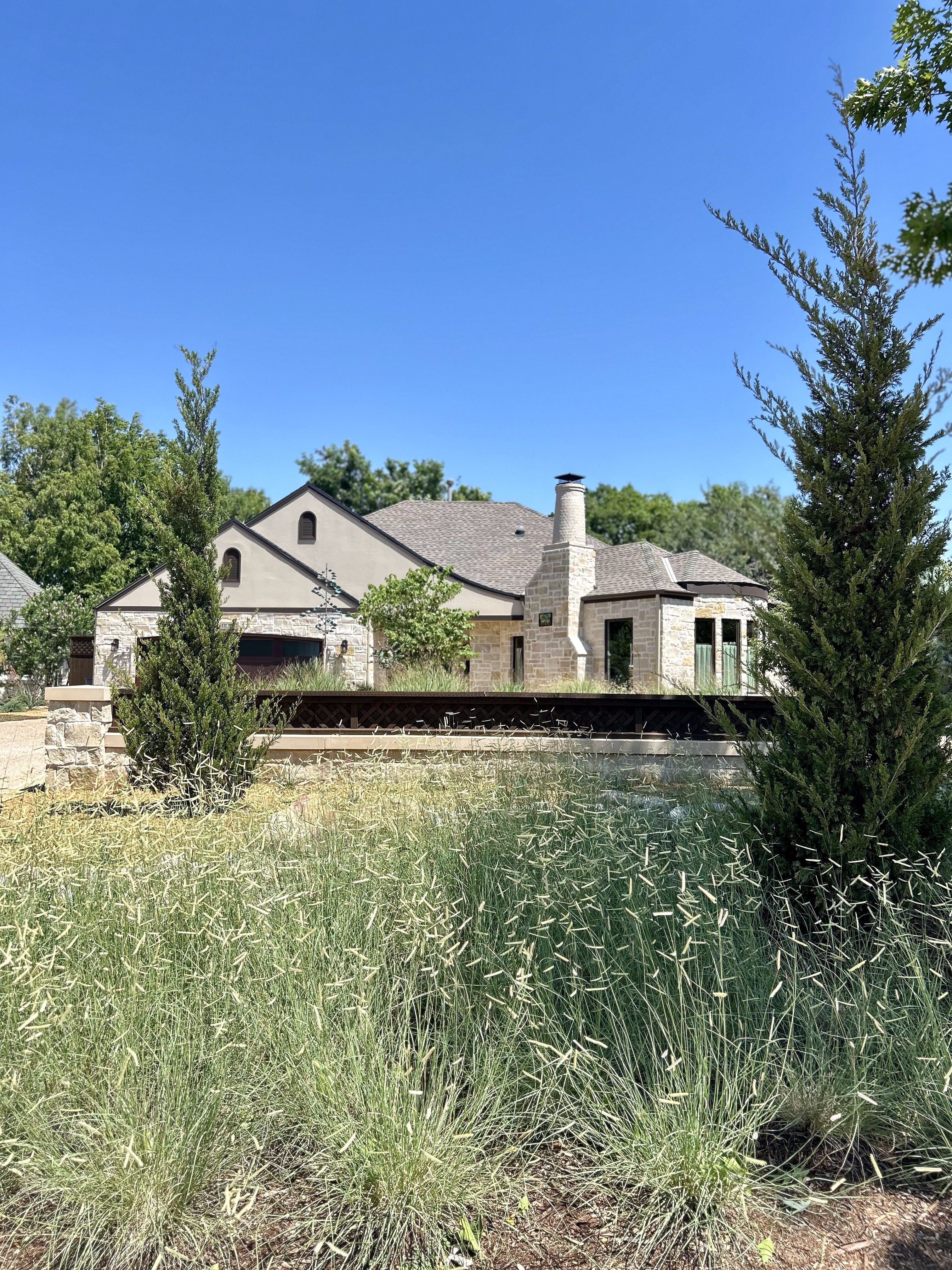Oklahoma tolerant grasses and plants