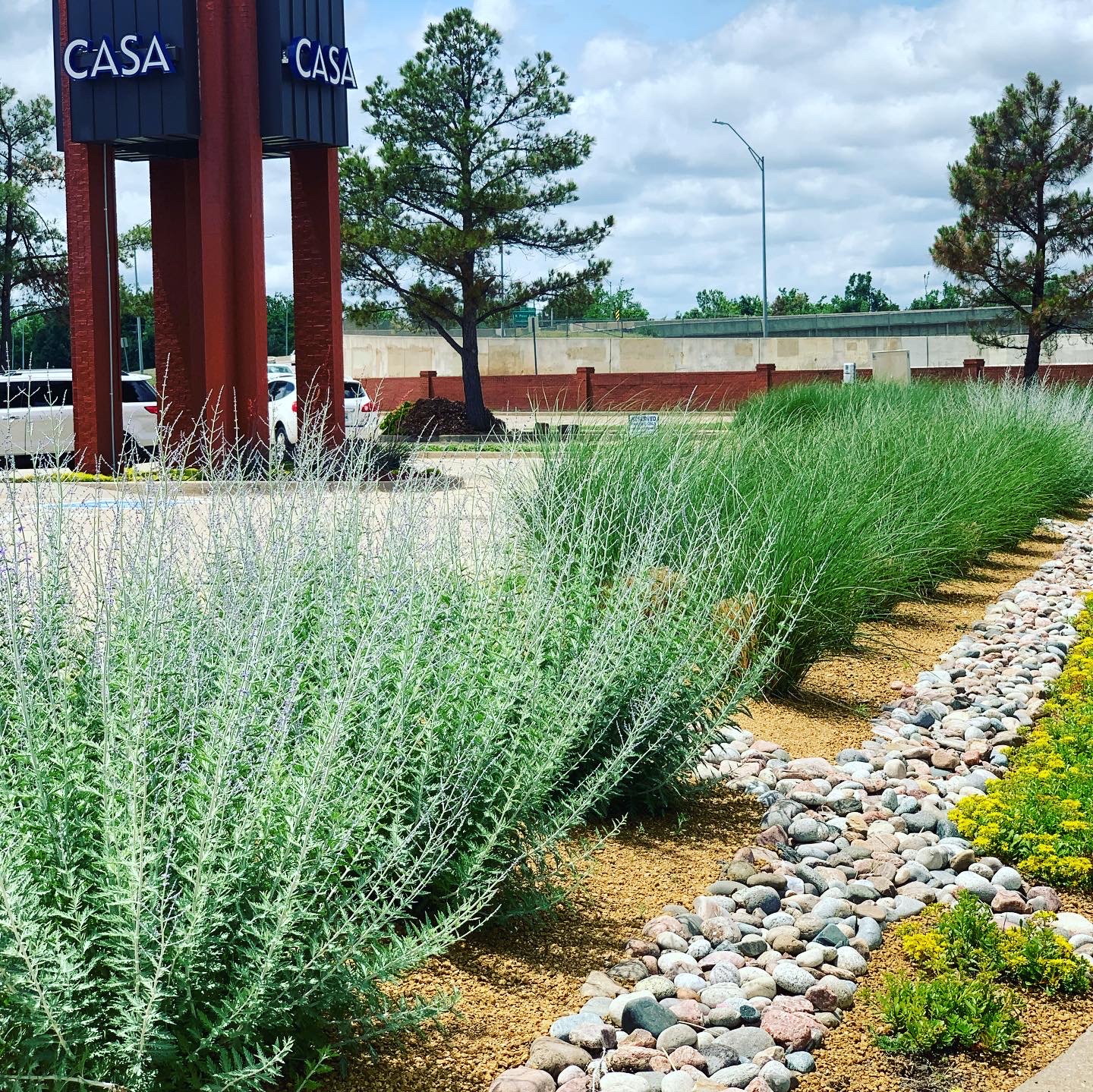 Drought-tolerant plants and river rock design in corporate office building