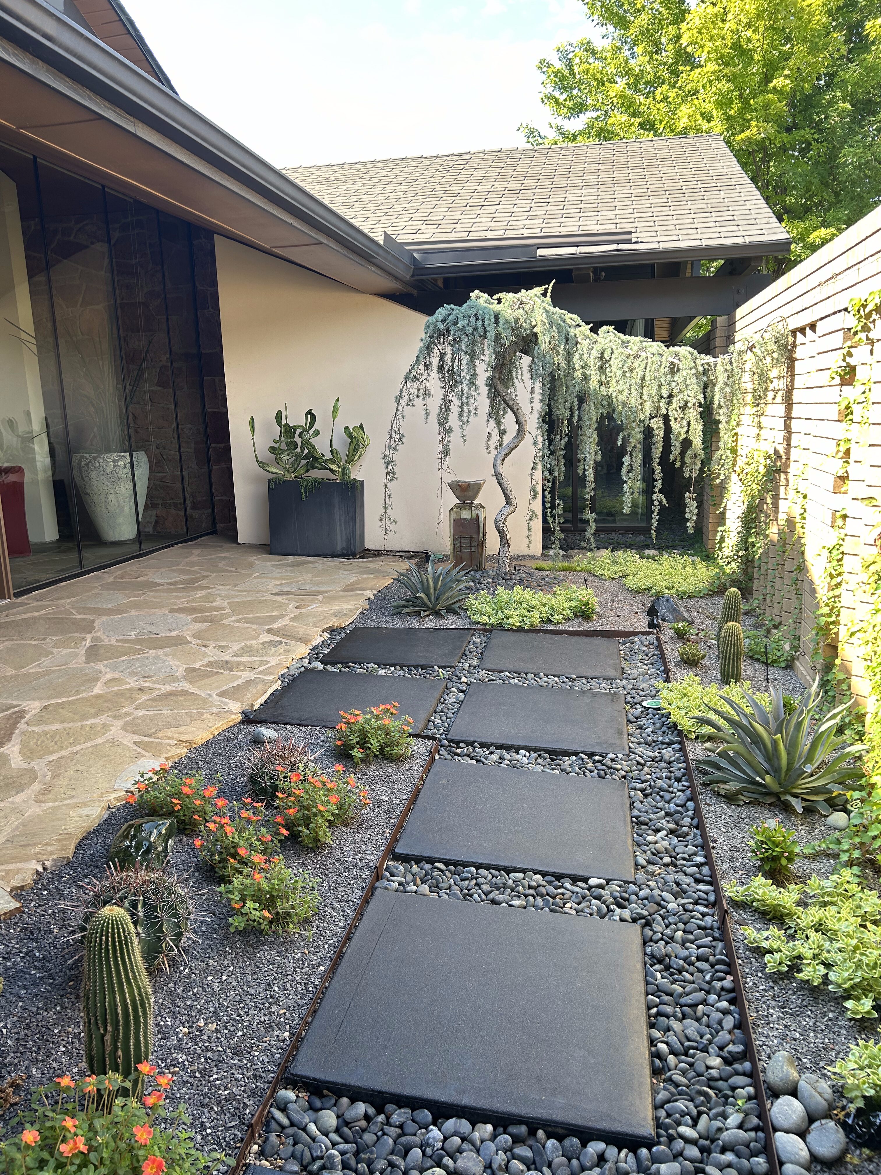 Oklahoma drought-tolerant cactus garden with modern pavers