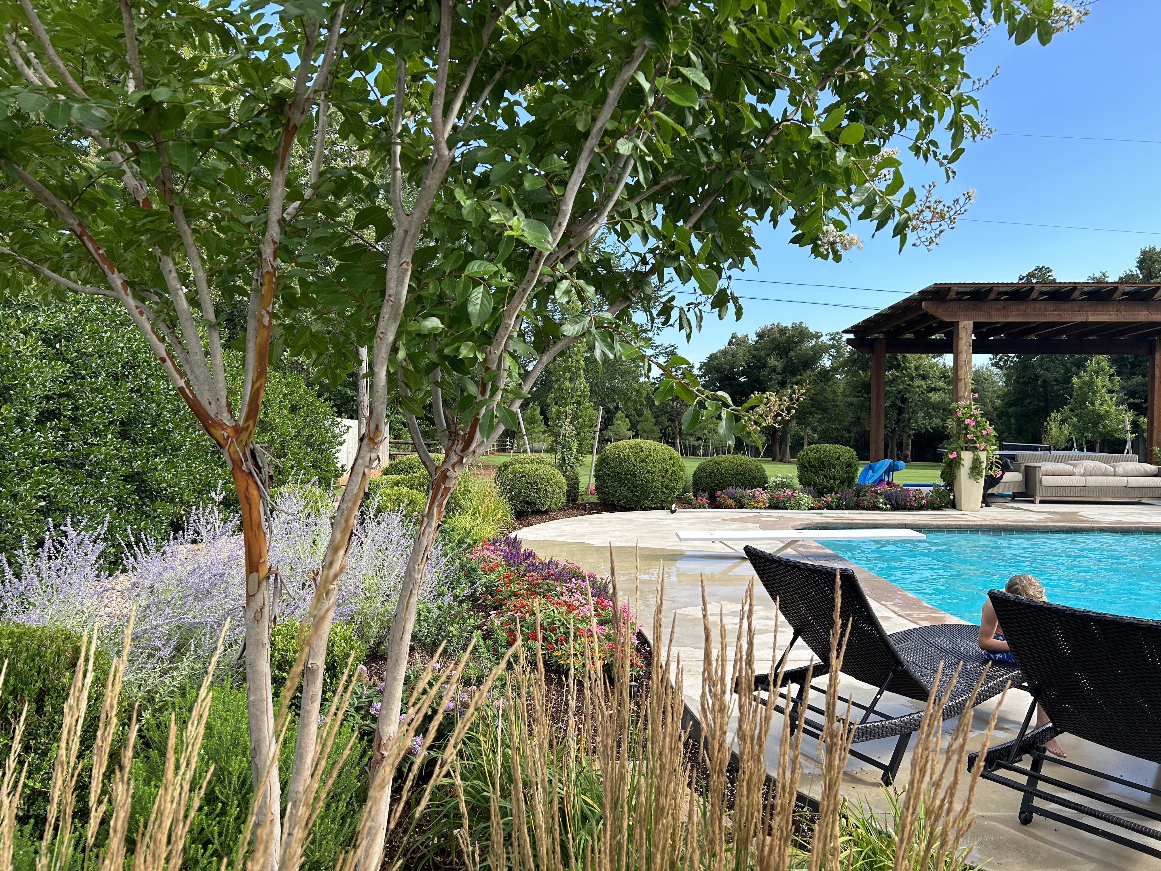 Backyard pool and pergola with Edmond plants