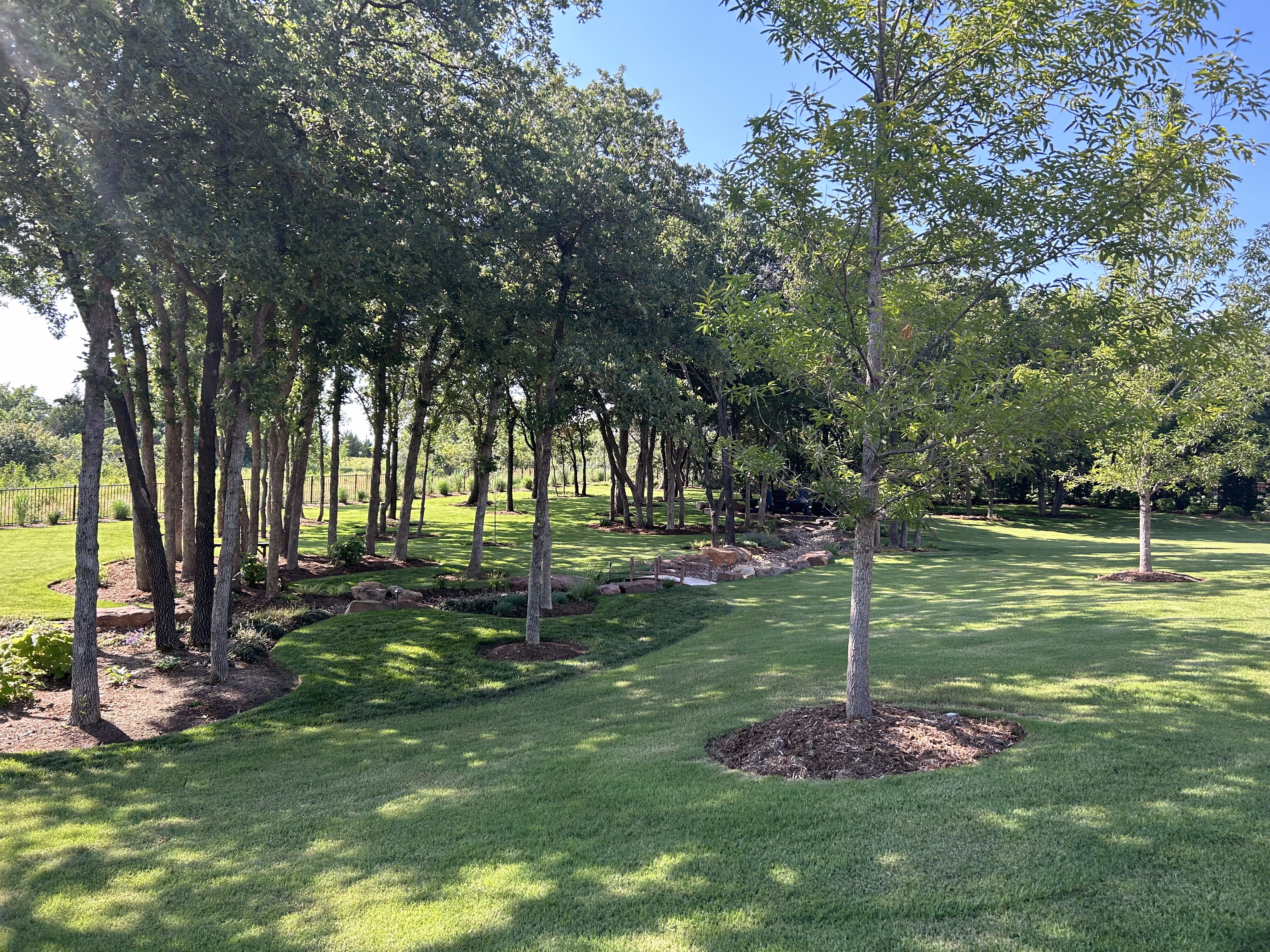 Tree-filled backyard with green grass