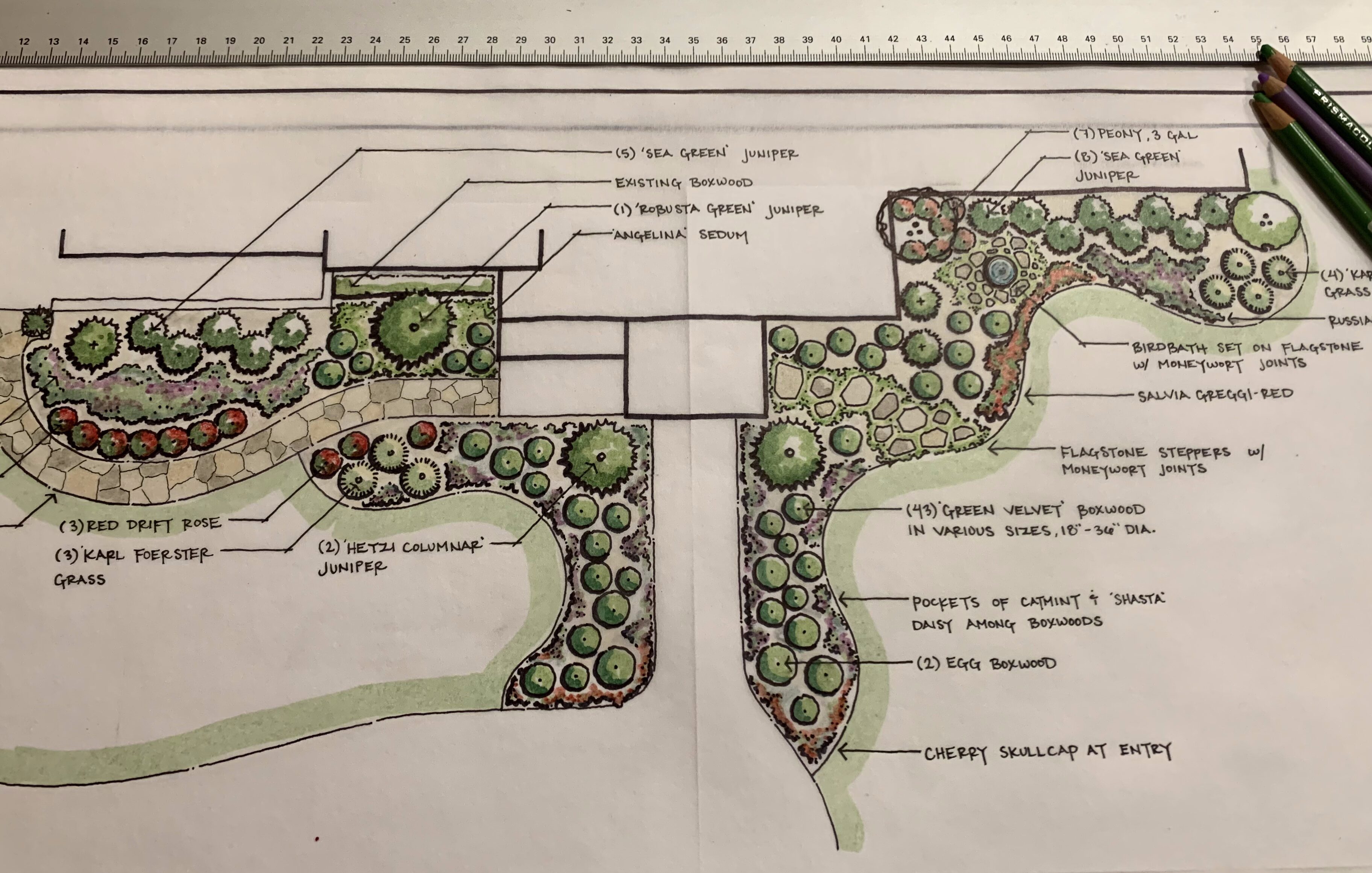 Arcadia landscape drawings