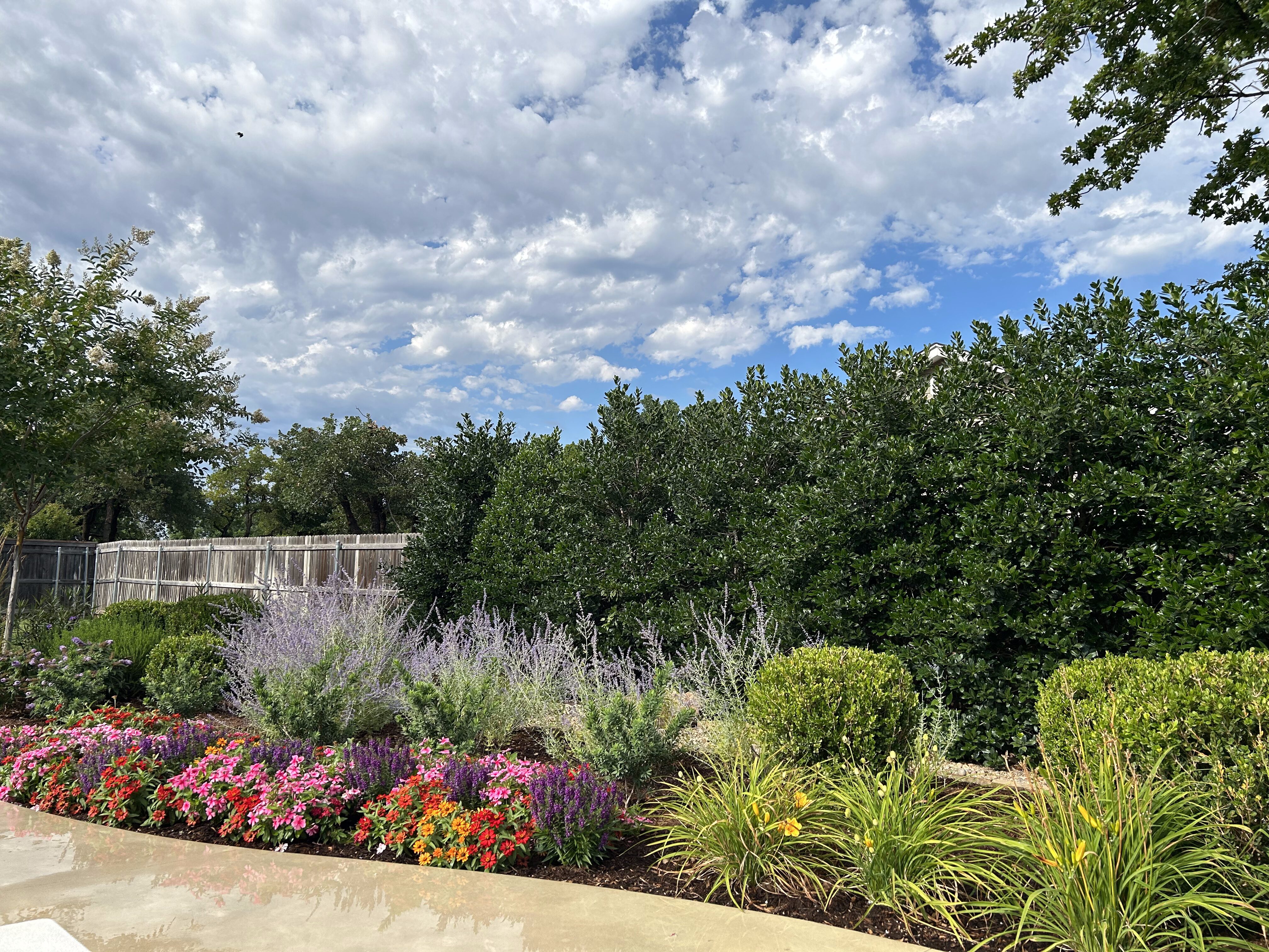 Colorful Oklahoma grasses, trees and plants