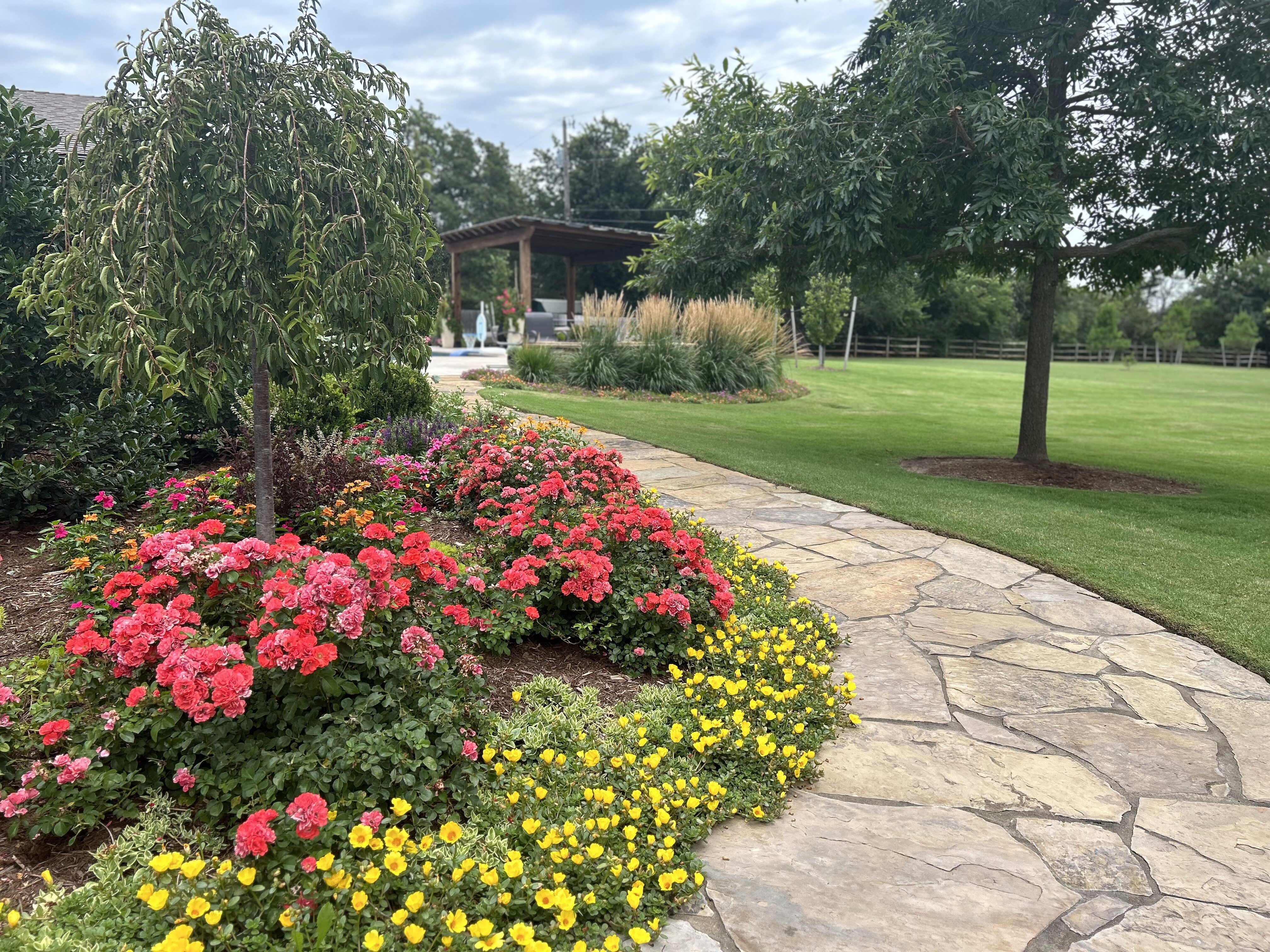 Backyard with grasses, flagstone pavers and colorful flowers
