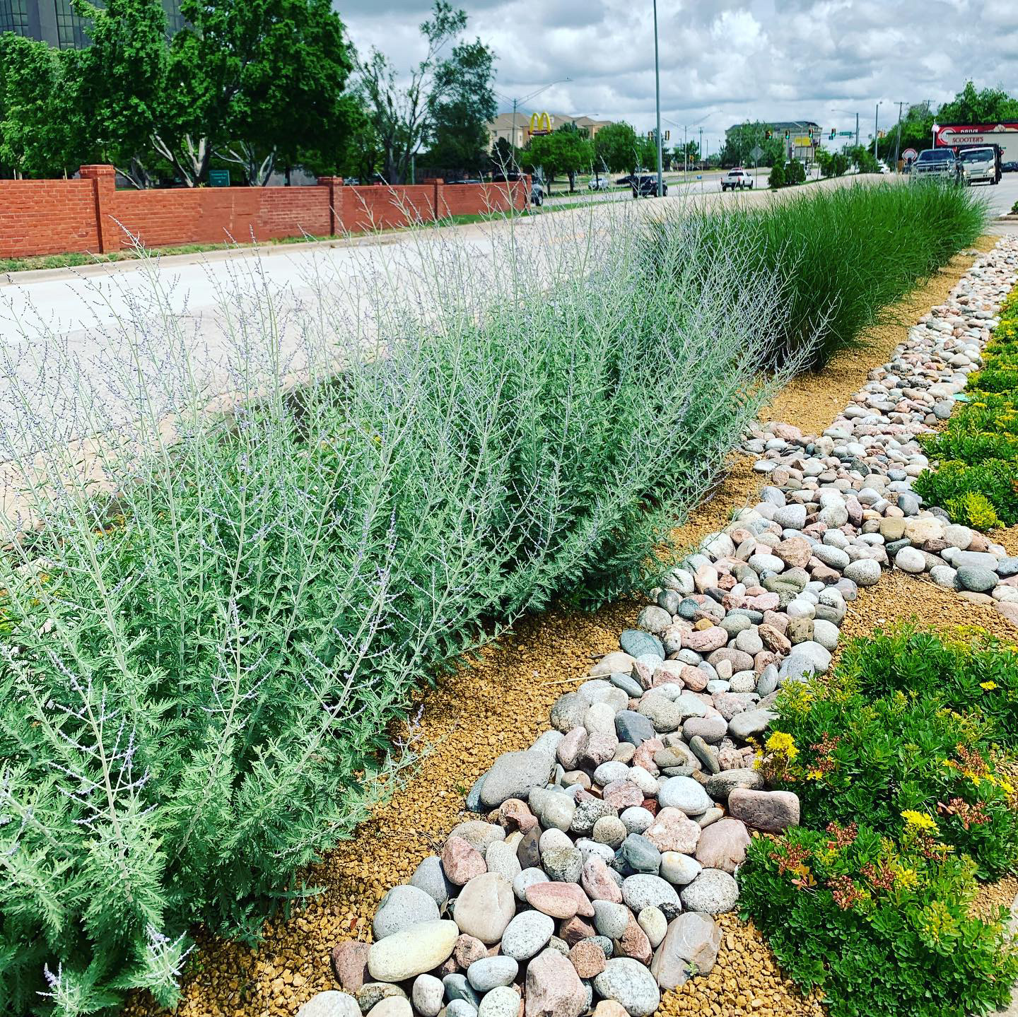 Drought-tolerant plants and river rock design in corporate office building