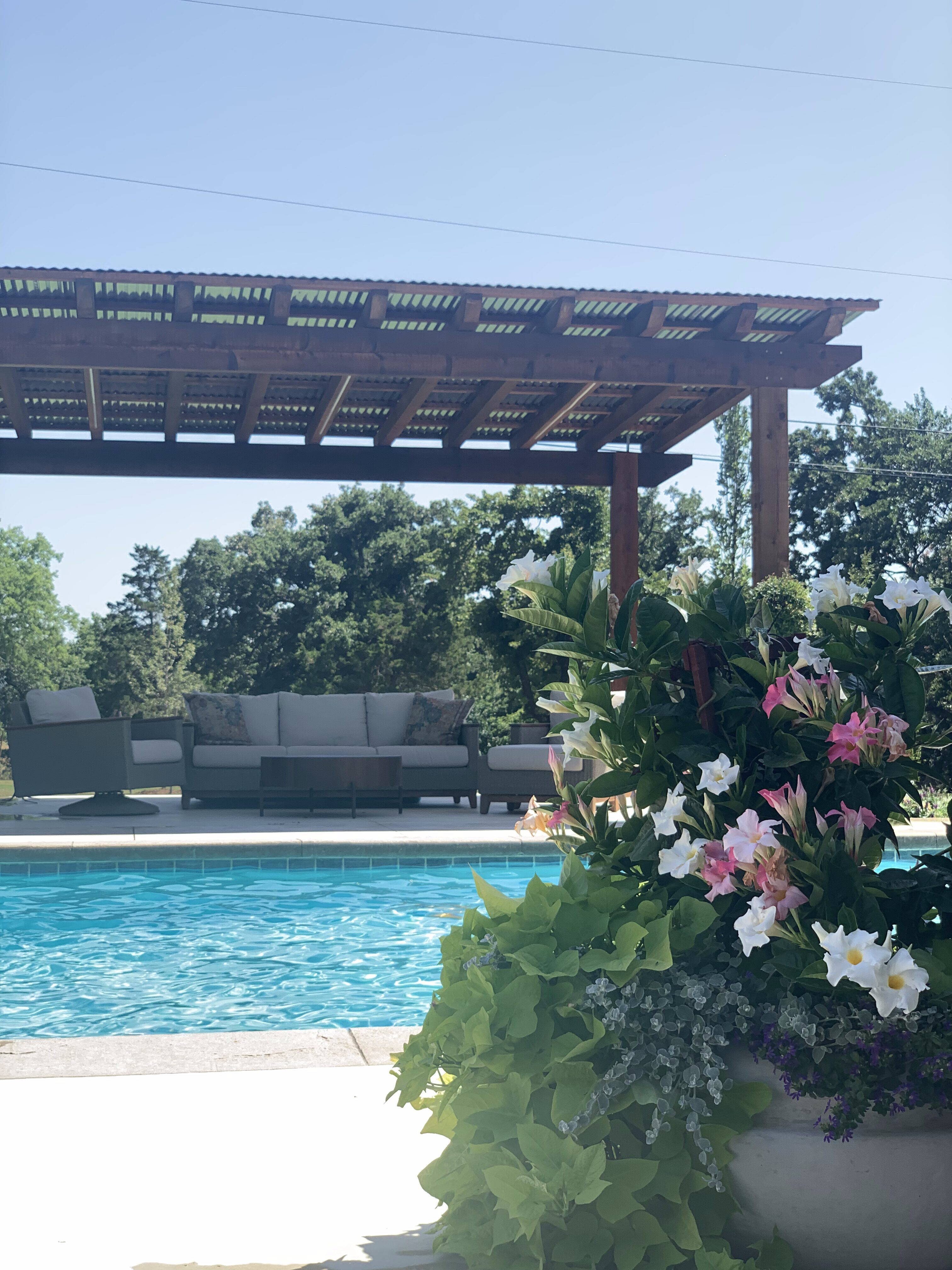 Backyard pool and pergola area