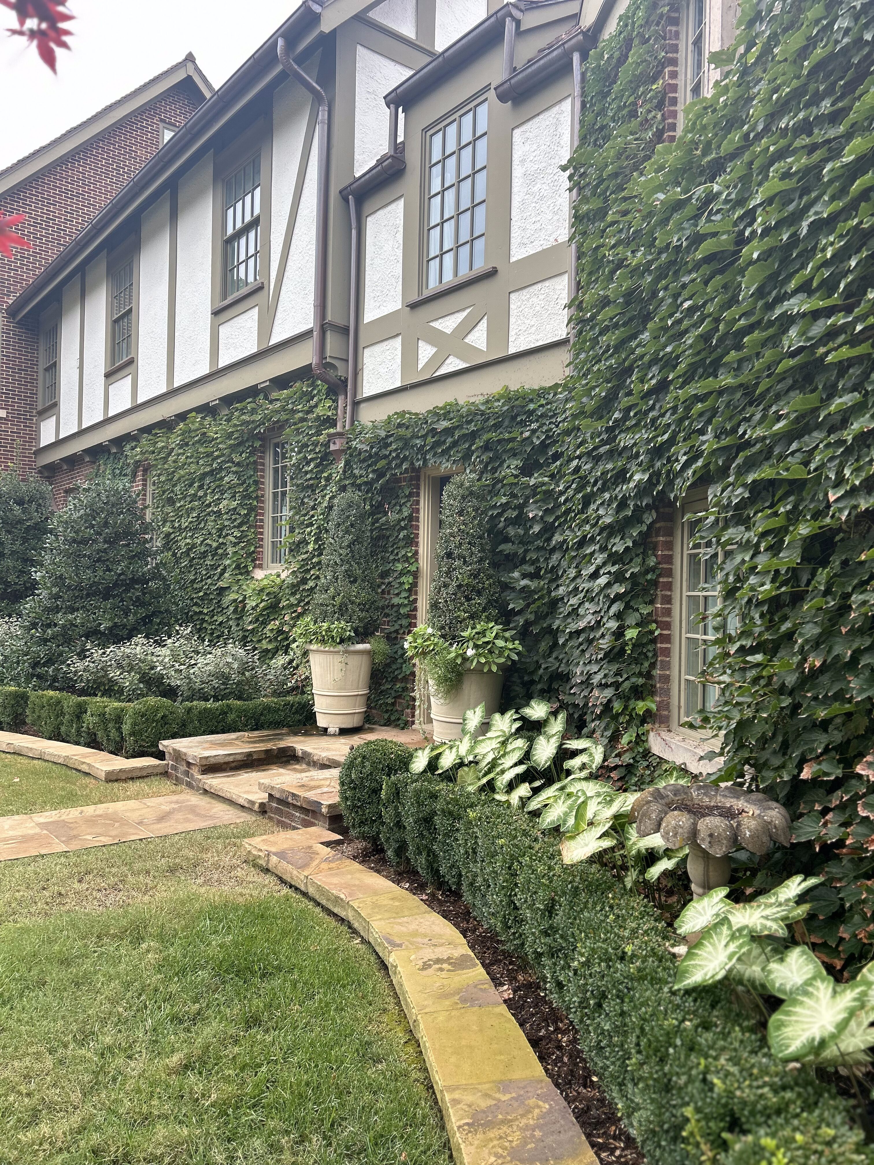 Ivy growing on Nichols Hills home walls with classic English landscaping in front yard