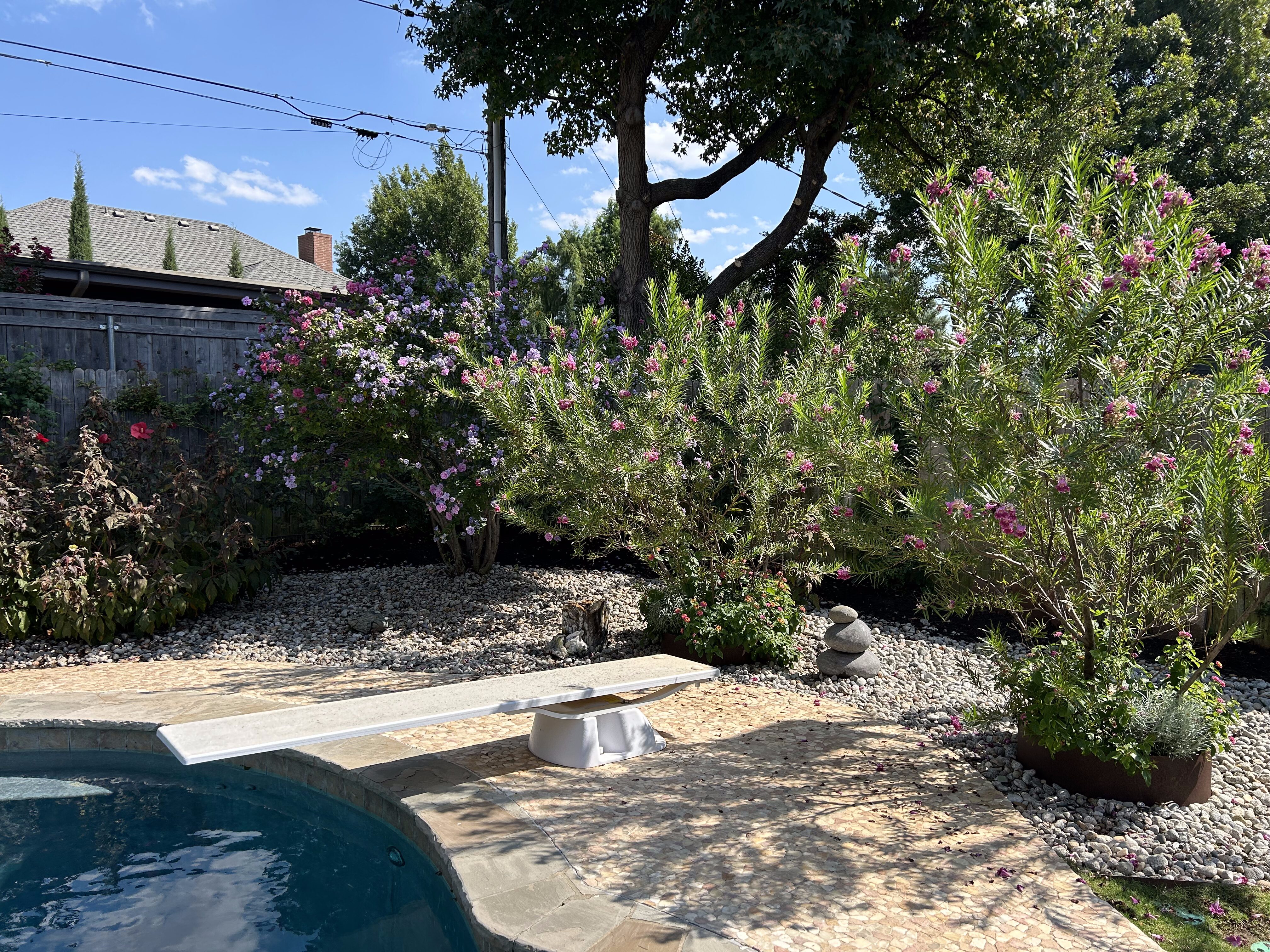 Oklahoma landscaping plants and pool