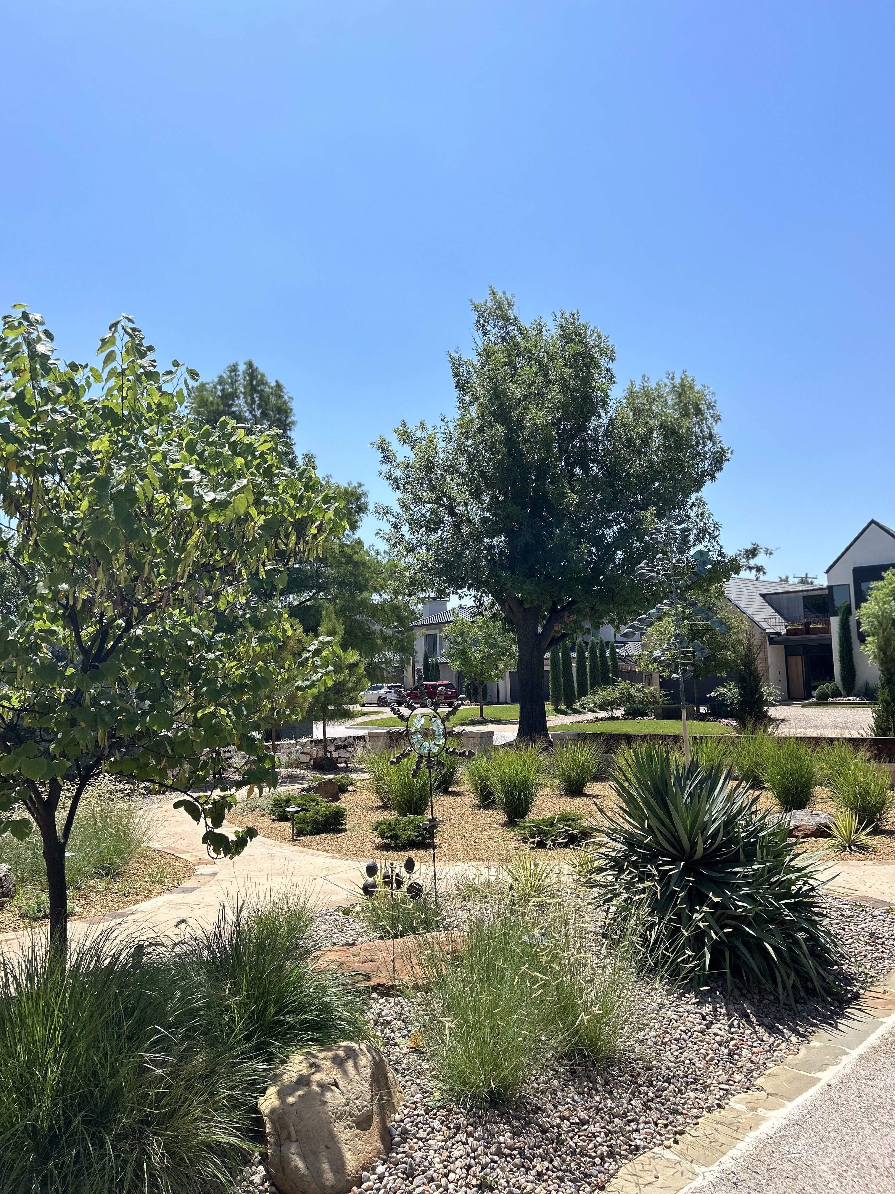 Trees and landscaping for Oklahoma heat