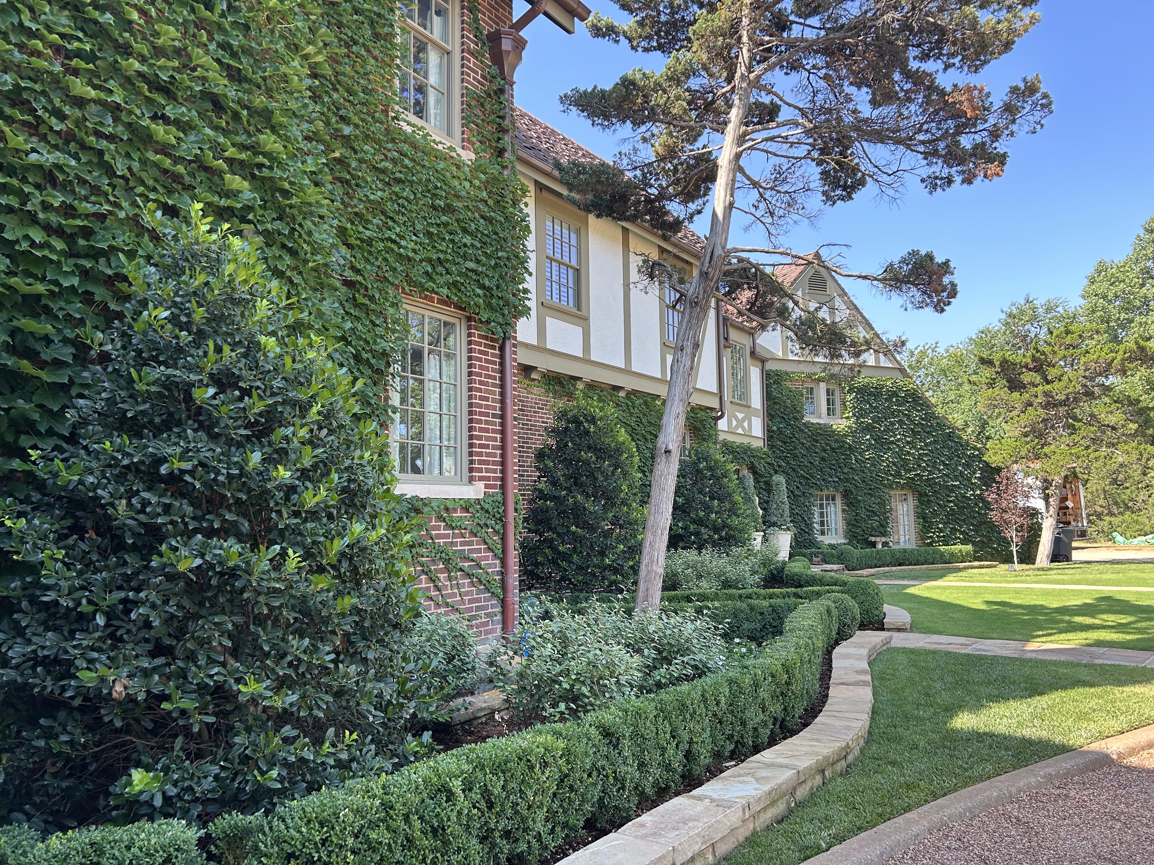 Ivy growing on Nichols Hills home walls with classic English landscaping