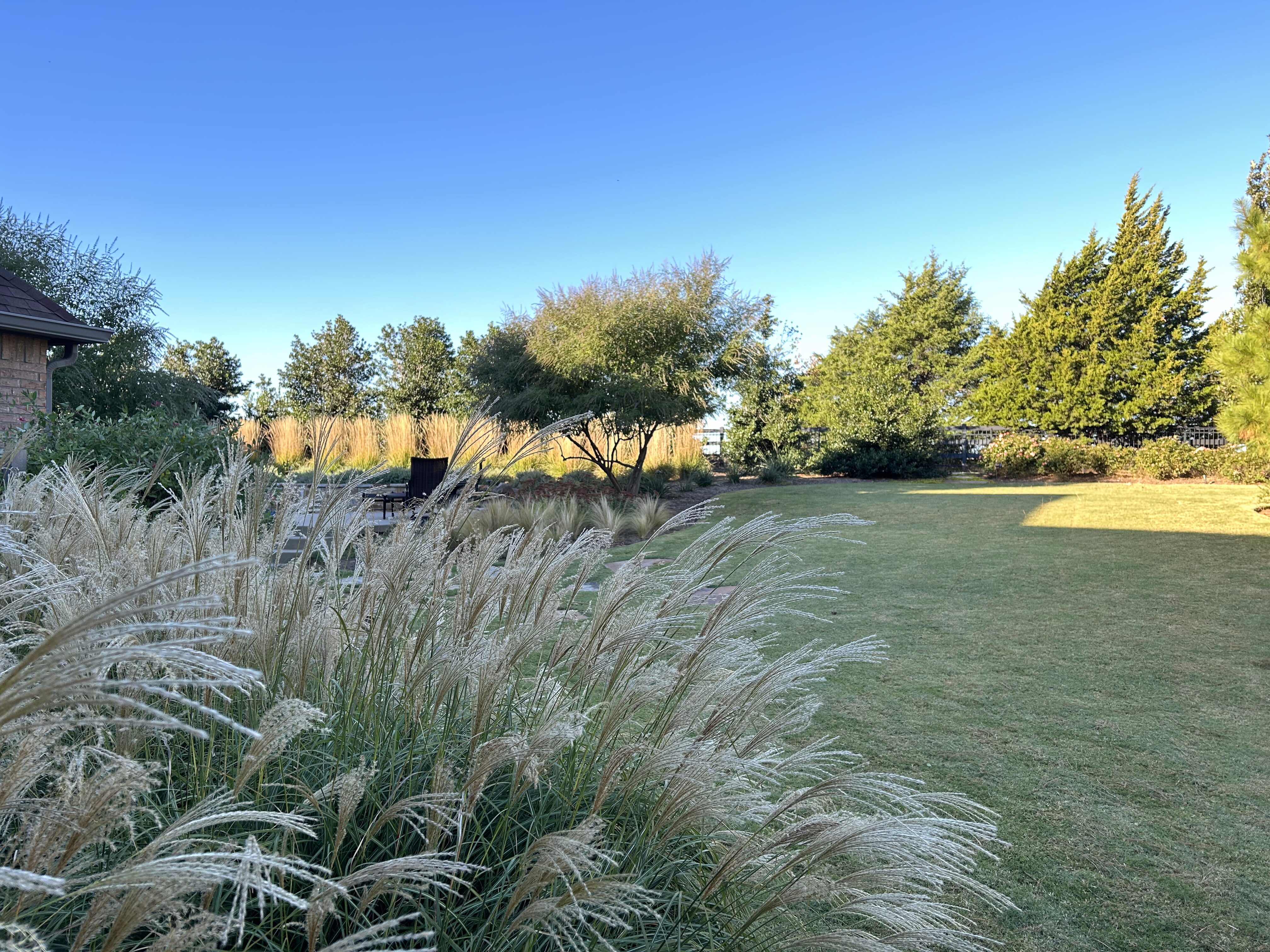 Oklahoma native plants