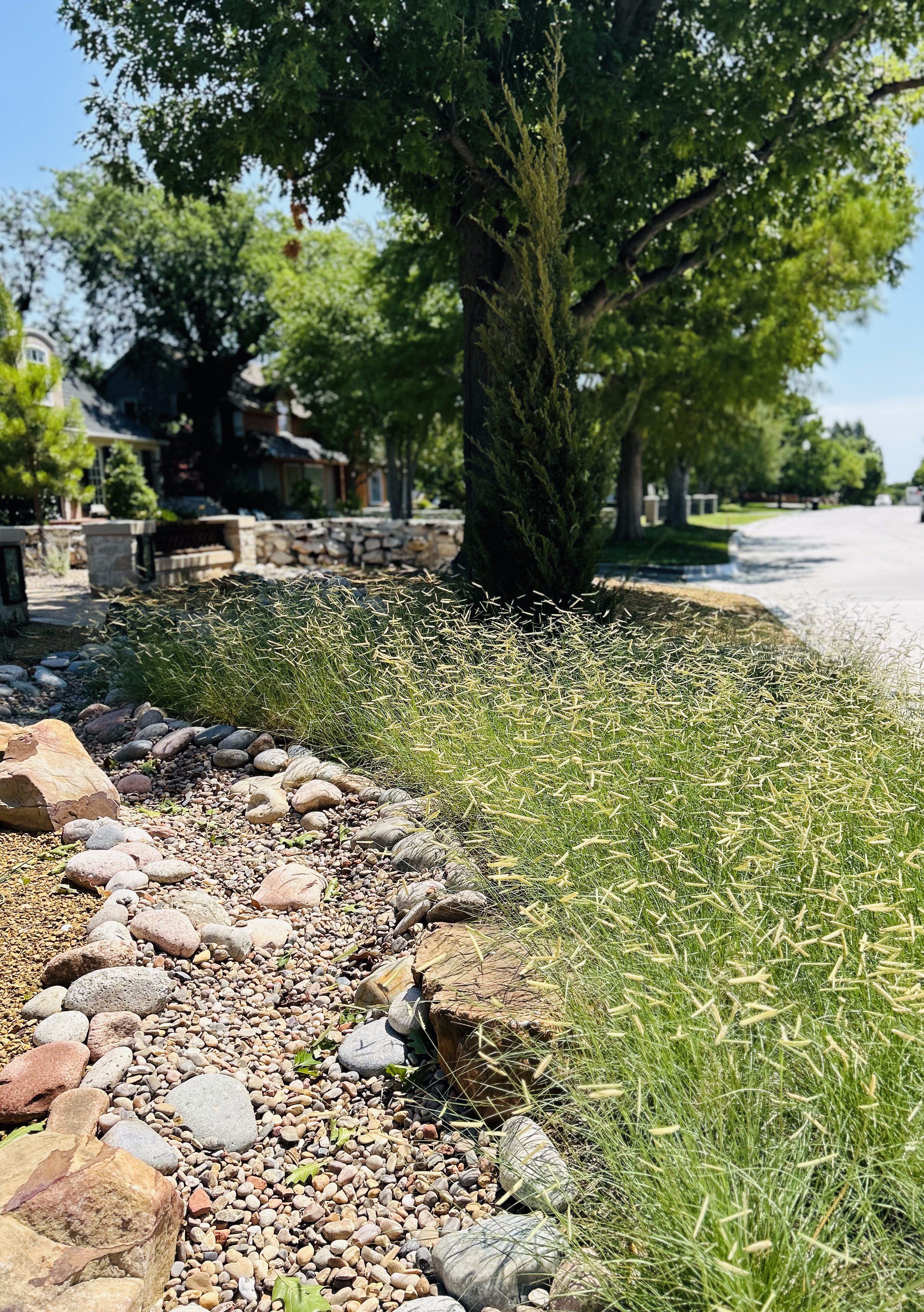 Oklahoma friendly grasses with river rock creek