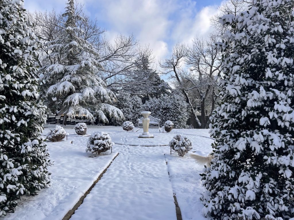 Winter landscaping in Oklahoma City